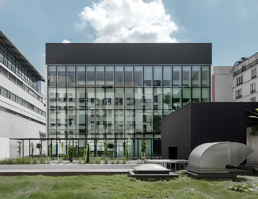 Projet Institut Pasteur